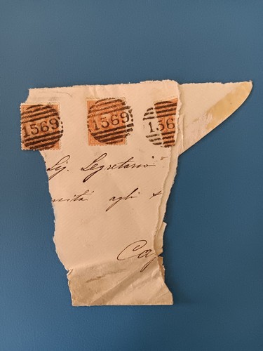 Italia regno 1879 - italia, 20